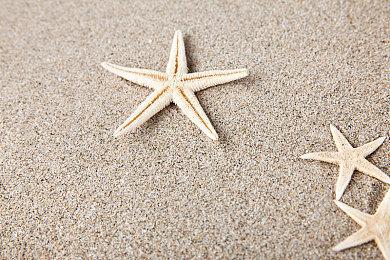 动作滑轮游戏《酷极轮滑》玩家突破100万人